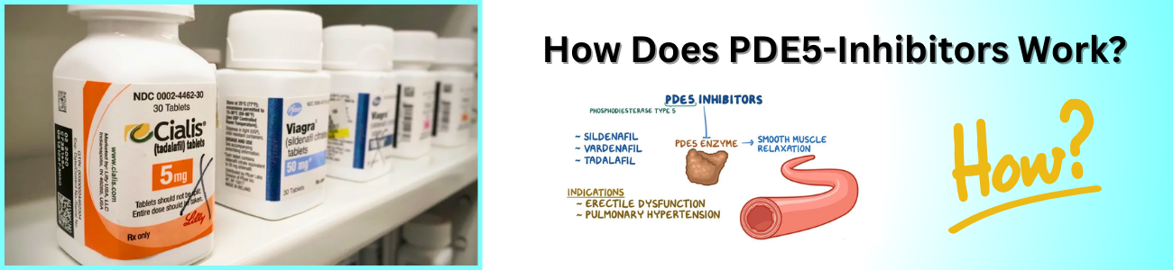 How Does PDE5 Inhibitors Work