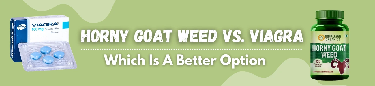 Horny Goat Weed Vs. Viagra: Which Is A Better Option?