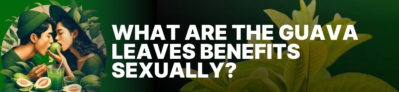 guava-leaves-benefit-sexually