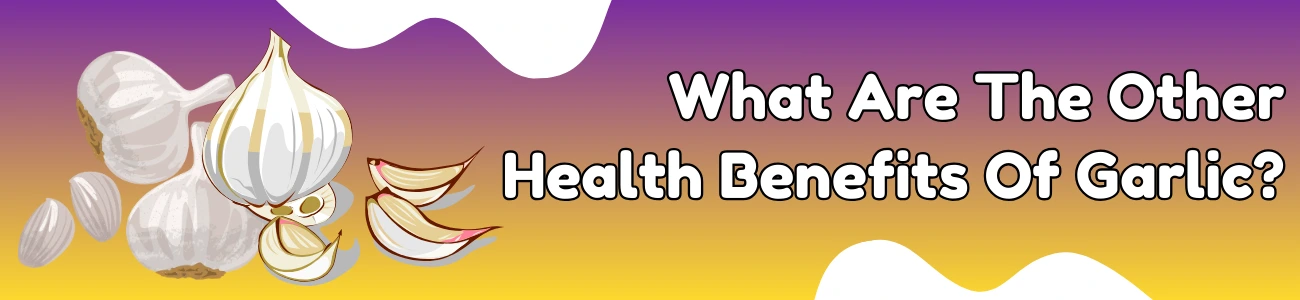  what-are-the-other-health-benefits-of-garlic