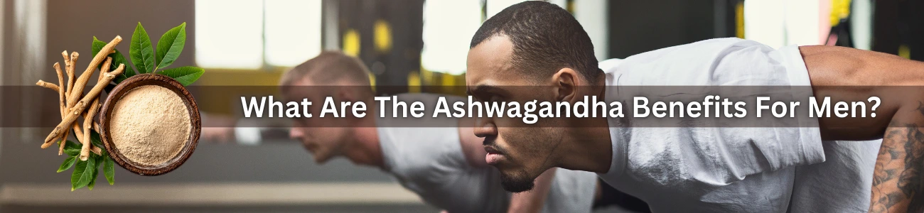 ashwagandha-benefits-for-men
